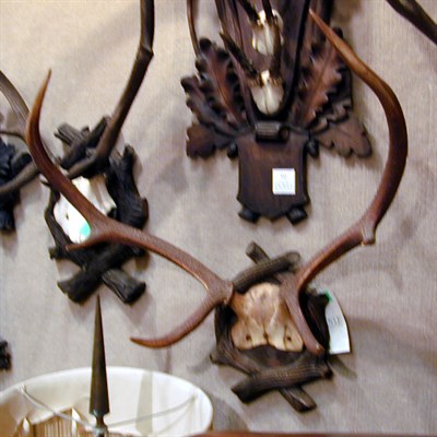 Lot 542 - Three Sets of Mounted Antlers