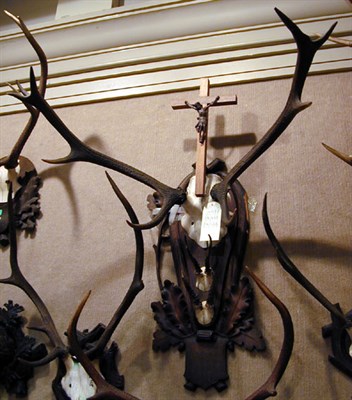 Lot 543 - Three Mounted Antlers with a Symbol of St....