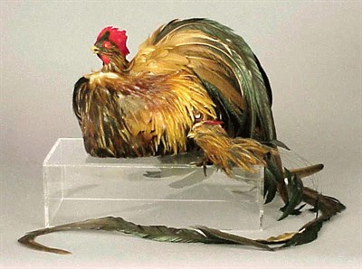 Lot 1298 - Rooster-Form Feather Muff 1977