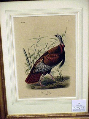 Lot 74 - After John James Audubon WILD TURKEY, MALE...
