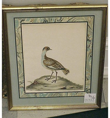 Lot 76 - After William Hayes [BIRDS] Four hand-colored...
