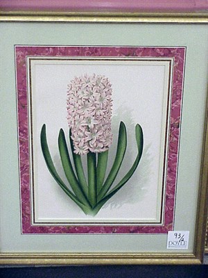 Lot 93 - English School 19th Century [FLOWERS] Two...