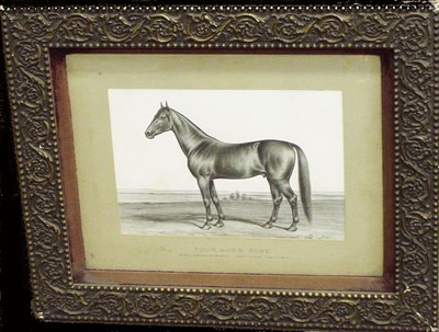 Lot 62 - A.J. Schultz 19th Century FOUR ACES Signed and...