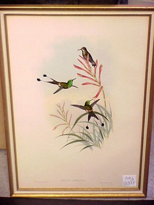 Lot 103 - J. Gould and H.C. Richter [HUMMING BIRDS]...