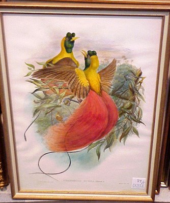Lot 89 - W. Hart [BIRDS] Three hand-colored lithographs;...