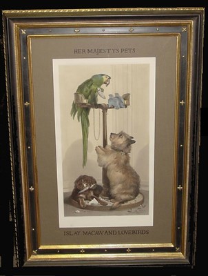 Lot 71 - British School "Her Majesty's Pets: Islay,...