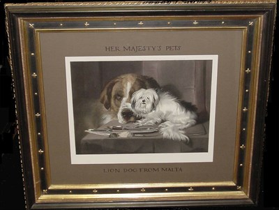 Lot 72 - British School "Her Majesty's Pets: Lion Dog...