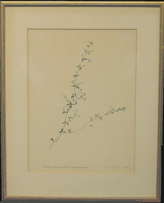 Lot 15 - Franz Xaver Gruber Austrian, 1801-1862 MANULEA...