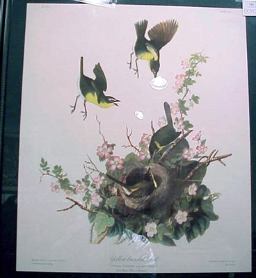 Lot 142 - After John James Audubon YELLOW BREASTED CHAT...