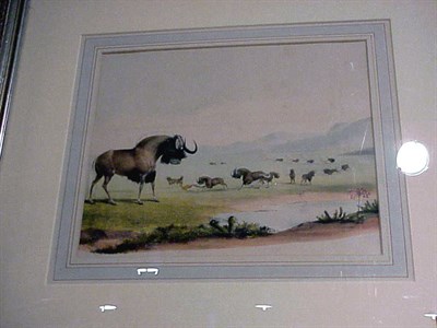 Lot 132 - Harris [GAME ANIMALS OF SOUTH AFRICA] Two hand-...