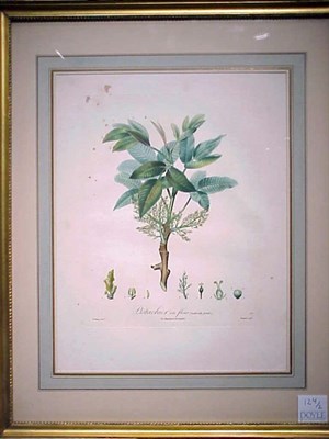 Lot 124 - After A. Poiteau TRAITE DES ARBRES FRUITIERS...