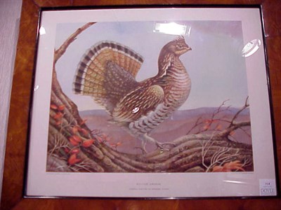 Lot 114 - After Emerson Tuttle RUFFED GROUSE Color...