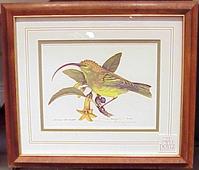 Lot 104 - M. Berger [BIRDS] Two watercolors on paper;...