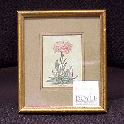 Lot 108 - After P.J. Redoute ROSES DES JARDINS Color...