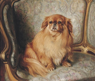 Lot 363 - John Bernard Munns Pekingese Resplendent in...