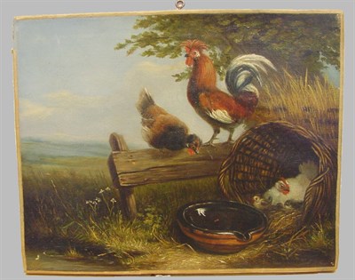 Lot 20 - Continental School 19th Century FARMYARD FOWL...