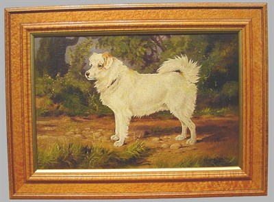 Lot 183 - Edward John Hoy Dog Portrait oil on canvas,...