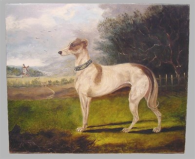 Lot 184 - W. Windred Italian Greyhound oil on canvas,...