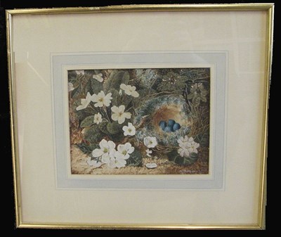 Lot 52 - Ruth S. Thompson 20th Century STILL LIFE WITH...