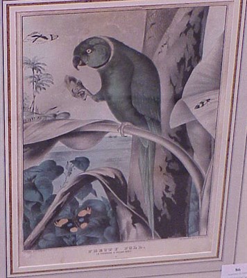 Lot 86 - Nathanial Currier, lithographer PRETTY POLL...