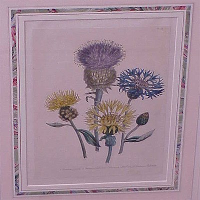 Lot 69 - Day & Haghe, lithographers [PERENNIALS] Two...