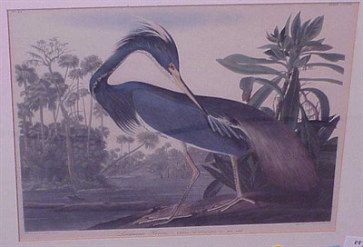 Lot 98 - After John James Audubon MALLARD DUCK and...