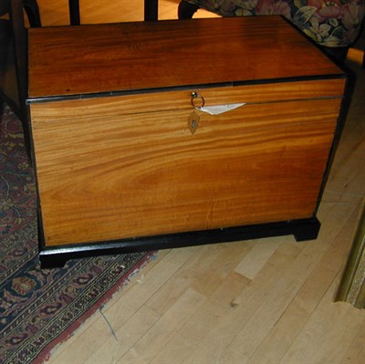 Lot 118 - Georgian Style Satinwood Trunk