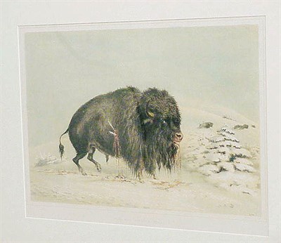 Lot 58 - After George Catlin WOUNDED BUFFALO BULL...