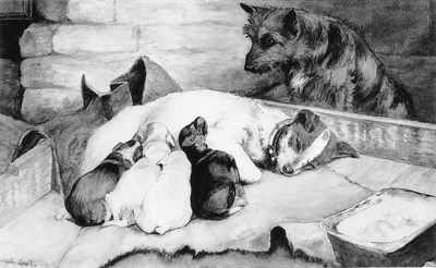 Lot 219 - Walter Brookes Proud Father ink and watercolor...