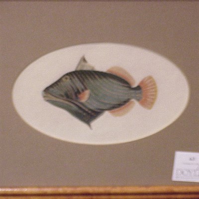 Lot 63 - Artist Unknown [FISH] Four hand-colored...