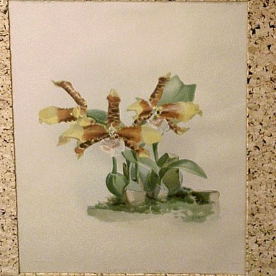 Lot 80 - Joseph Mansell [FLOWERS] Six chromolithographs....