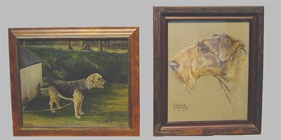 Lot 30 - (i) Gladys Emerson Cook Head of and Airedale...