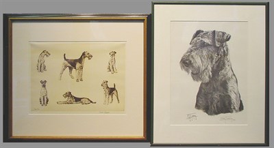 Lot 52 - Diana Thorne [Studies of Airedales] etching,...