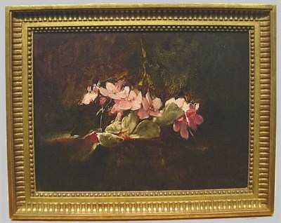 Lot 34 - James Del Grosso 20th Century AFRICAN VIOLET,...