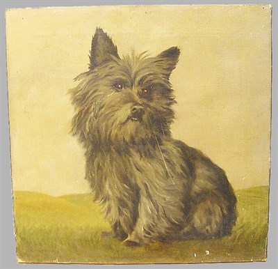 Lot 170 - Leighton Pearce Seated Cairn Terrier oil on...