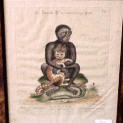 Lot 92 - 158After George Edwards [MONKEYS] Two...