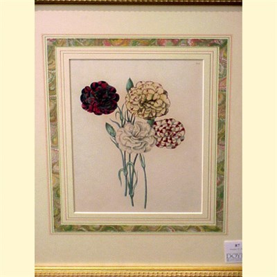 Lot 87 - Oudart [CARNATIONS] Two hand-colored etchings....