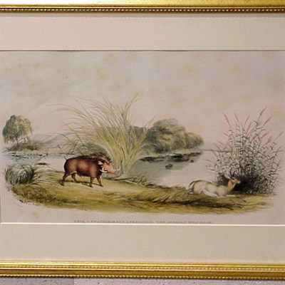 Lot 89 - After W.C. Harris THE AFRICAN WILD BOAR...