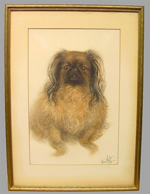 Lot 230 - Holst Pekingese pastel, indistinctly signed...