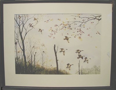 Lot 36 - David Hagerbaumer American, 20th century DUCKS...