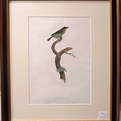 Lot 72 - After Jacques Barraband LE BARBION MALE and LE...