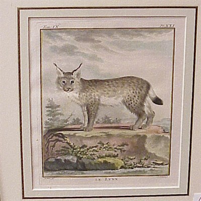 Lot 61 - After De Seve LE CARACAL and LE LYNX Two...
