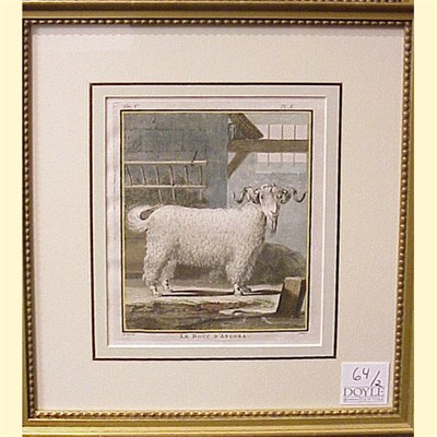 Lot 64 - After De Seve LE BOUC D'ANGORA and LA BREBIS...
