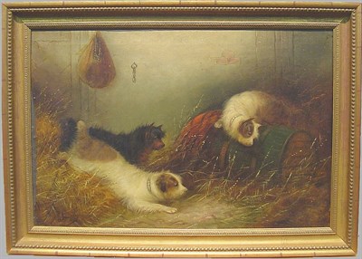 Lot 186 - Edward Armfield Terriers Ratting oil on canvas,...