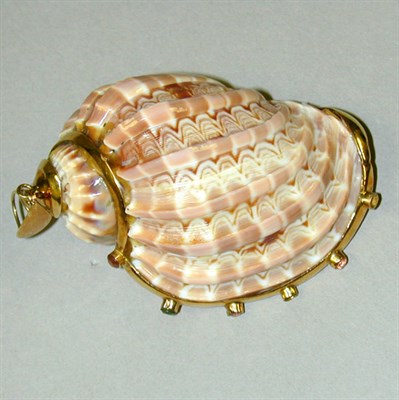 Lot 32 - Large Sea Shell Pendant The 4 1/2 inch pendant...