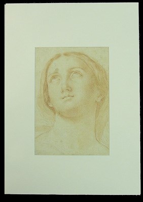 Lot 68 - Elisabetta Sirani Italian, 1638-1665 HEAD OF A...