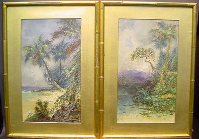 Lot 43 - Charles H. Chapin 19th Century IN THE TROPICS:...