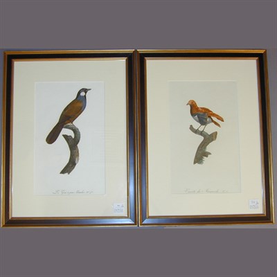 Lot 101 - After Jacques Barraband LE GEAI A JOUES...