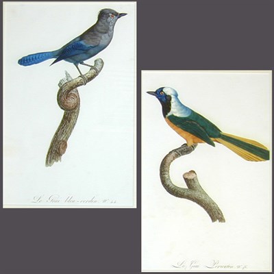 Lot 98 - After Jacques Barraband LE GEAI BLUE-VERDIN...