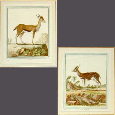 Lot 91 - After De Sere LE BOSBOK and LA GAZELLE Two...